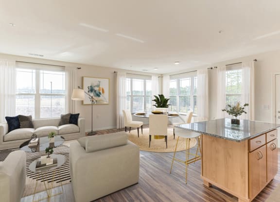 Dominium-Ashlynn Ridge-Virtually Staged Apt 1 Overview
