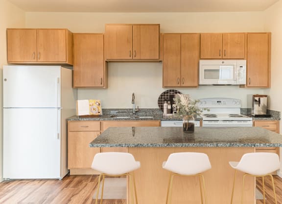 Dominium-Ashlynn Ridge-Virtually Staged Apt 1 Kitchen