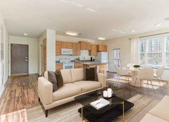 Dominium-Ashlynn Ridge-Virtually Staged Apt 2 Overview