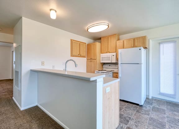 Balmoral_Apartment Kitchen