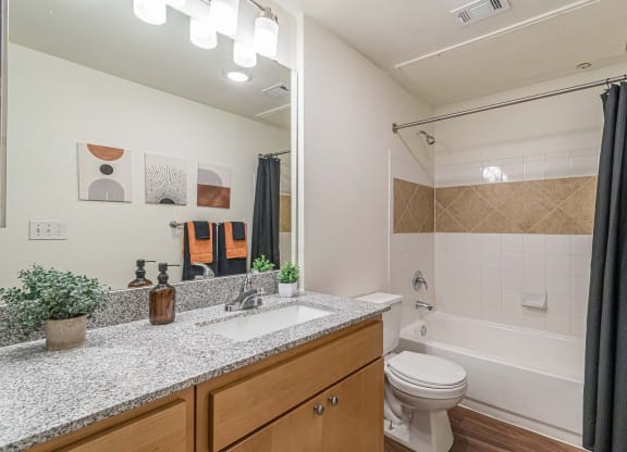 Bathroom With Bathtub at Capitol Crossing, Austin, 78744