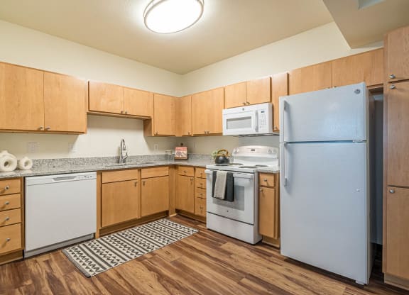 Kitchen Appliances at Capitol Crossing, Texas