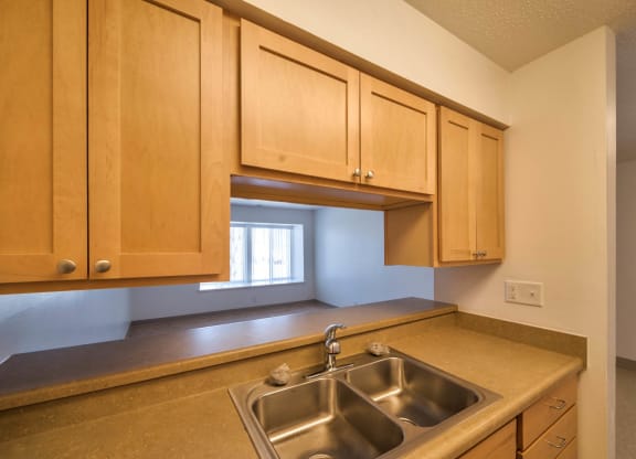 Castlewoods_Apartment Kitchen
