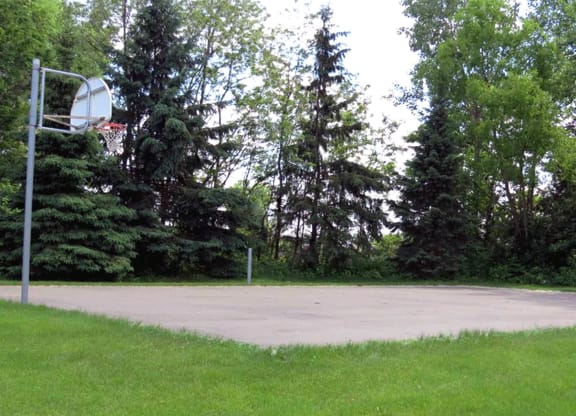 Cedar Ridge_Outdoor Basketball Court