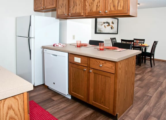 Cedar Ridge_Model Apartment Kitchen