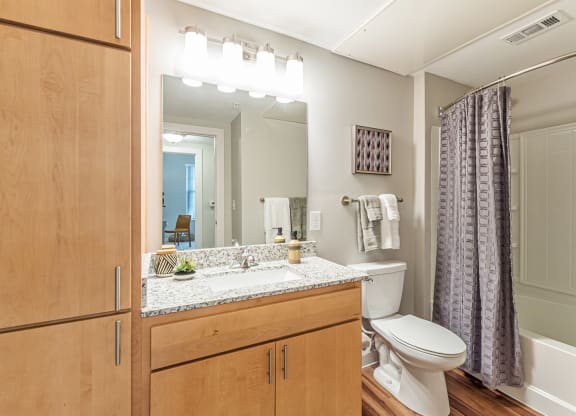 Dominium-Crossroad Commons-Bathroom at Crossroad Commons, Manor