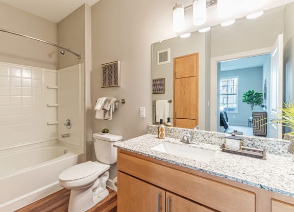 Dominium-Crossroad Commons-Bathroom at Crossroad Commons, Manor, TX 78653