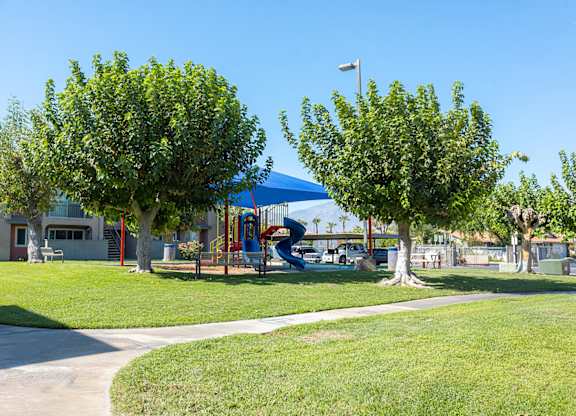 Dominium-Desert Palms-Playground