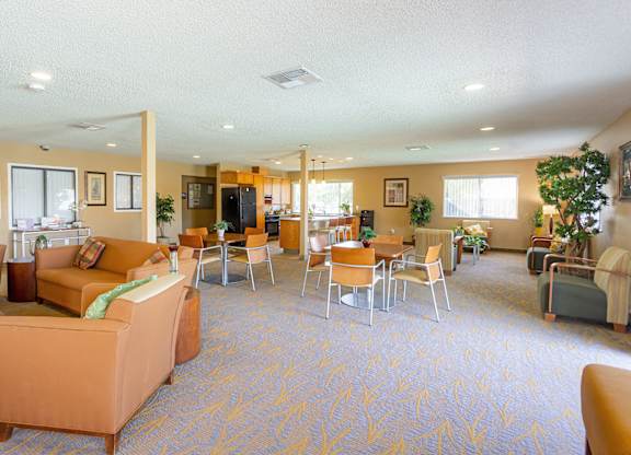 Dominium-Desert Palms-Community Room
