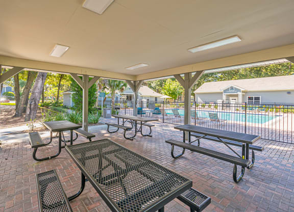 Dominium-Enclave at Pine Oaks-Picnic Area