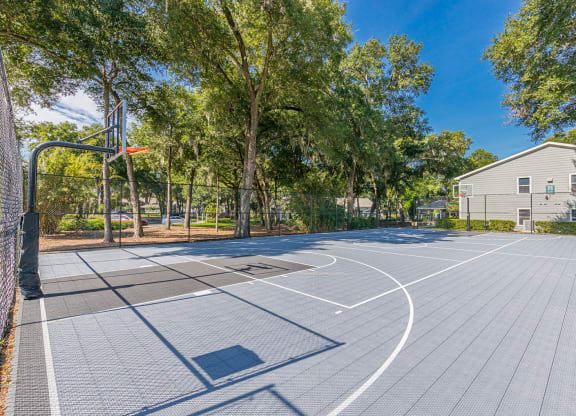 Dominium-Enclave at Pine Oaks-Basketball Court