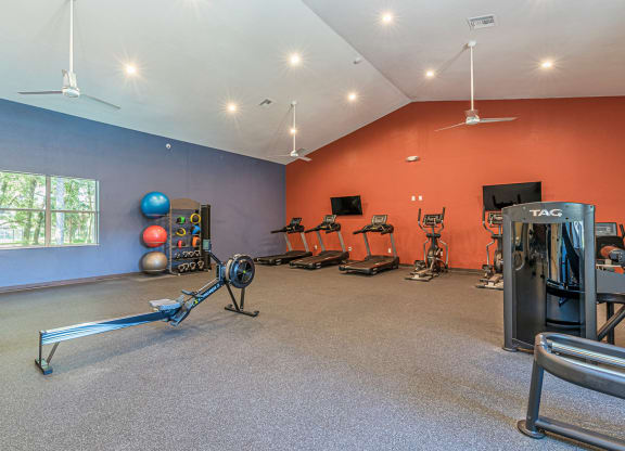 Dominium-Enclave at Pine Oaks-Fitness Center