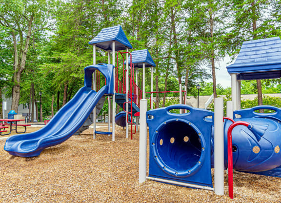 Dominium-Fulton Pointe-Playground