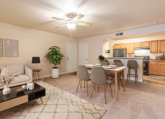 Dominium-Fulton Pointe-Virtually Staged Apt Overview