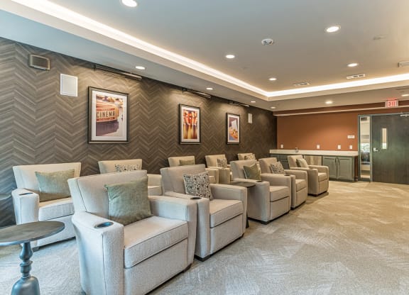 Dominium-Grayson Ridge-Theater Room