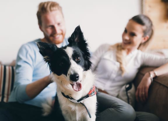 Pet-Friendly Community at Groves of Lawrenceville, Lawrenceville, 30046