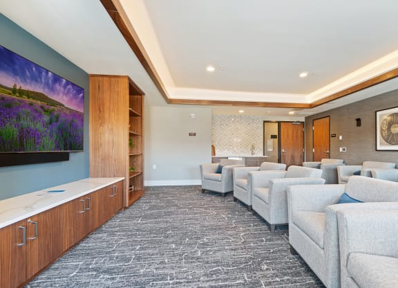 Theater Room at Harbor at Twin Lakes 55+ Apartments, Roseville