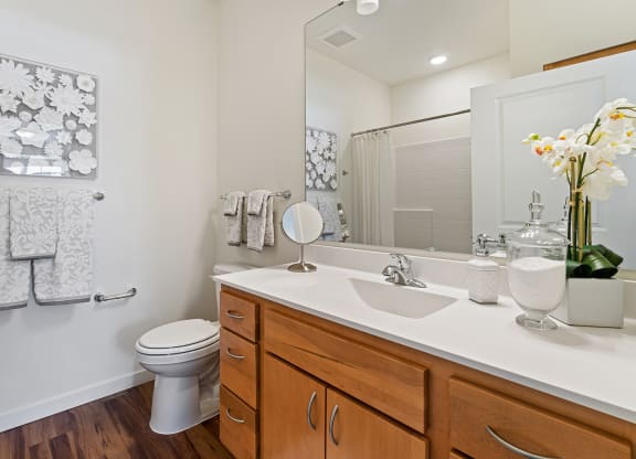 Luxurious Bathroom at Harbor at Twin Lakes 55+ Apartments, Roseville, Minnesota