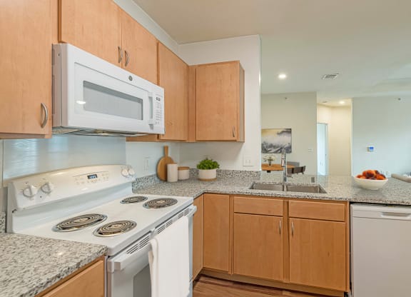 Dominium-Knolls at West Oaks-Virtually Staged Kitchen