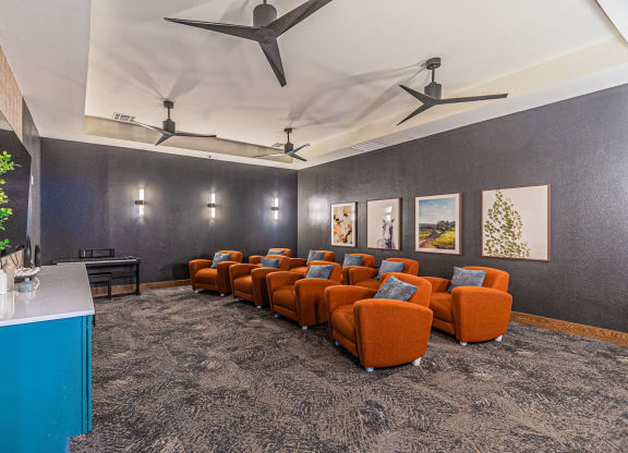 Dominium-Lakeside-Manor-Theater 1.jpg