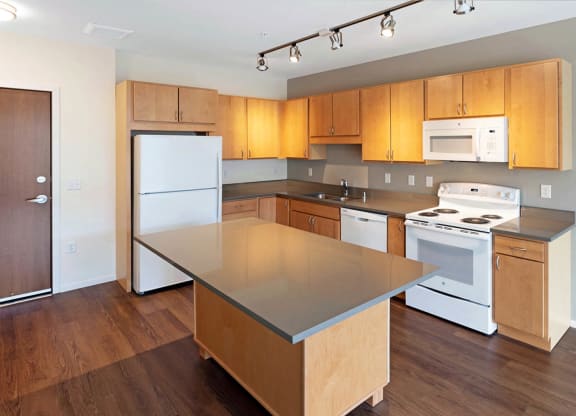 Model Kitchen at Millberry Apartments, Minnesota