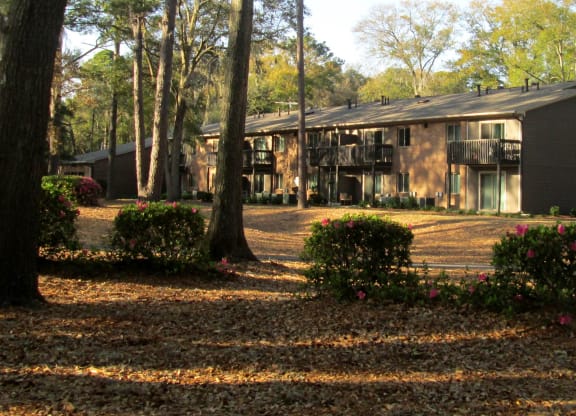 Mossy Oaks_Property Exterior