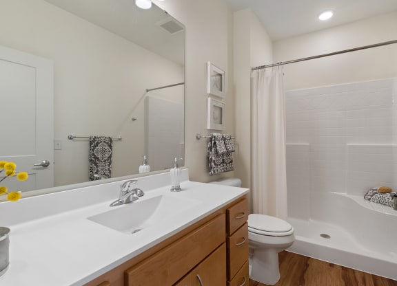 Bathroom at Oaks Landing 55+ Apartments, Minnesota, 55112