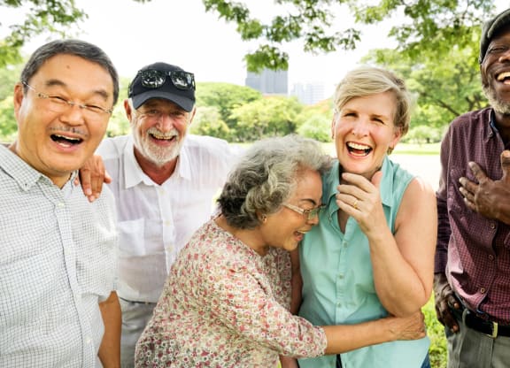 Active Seniors