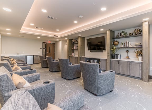 Dominium-Preserve at Peachtree Shoals-Theater Room