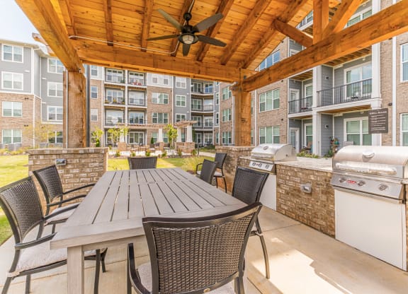 Dominium-Preserve at Peachtree Shoals-Picnic and Grilling Area