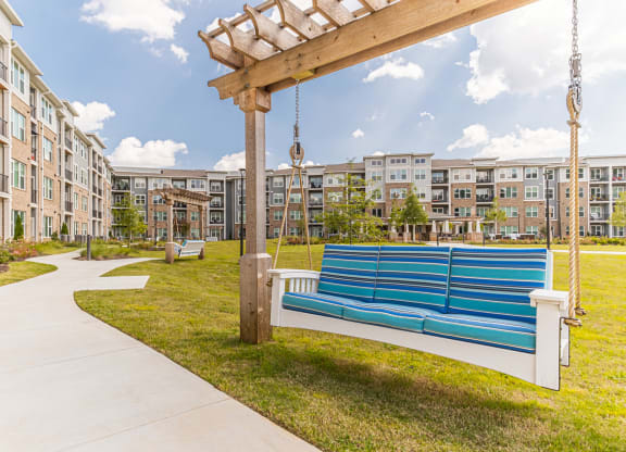 Dominium-Preserve at Peachtree Shoals-Community Swings