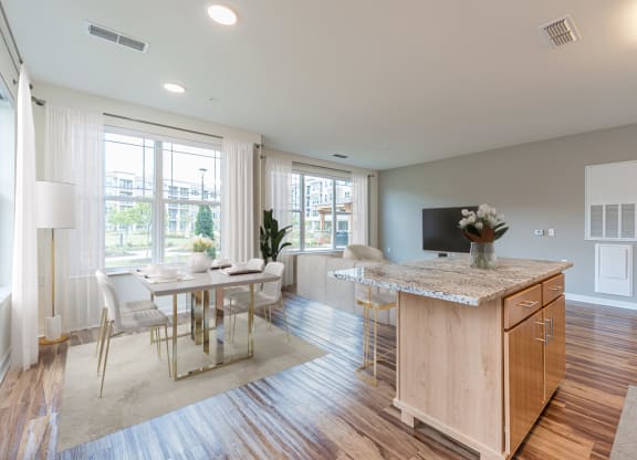 Dominium-Preserve at Peachtree Shoals-Virtually Staged Apt Overview