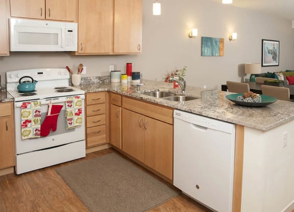 River North_Model Kitchen