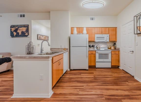 Dominium-Riverstation-New Model Kitchen at Riverstation, Dallas, 80205