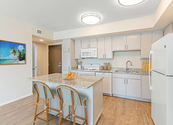 Kitchen counter at Sandpiper Glen 62+ Apartments, Orlando, FL
