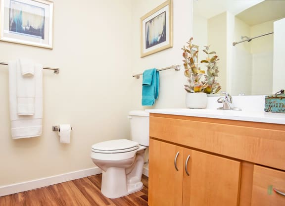 Luxurious Bathroom at Scharbauer Flats, Midland