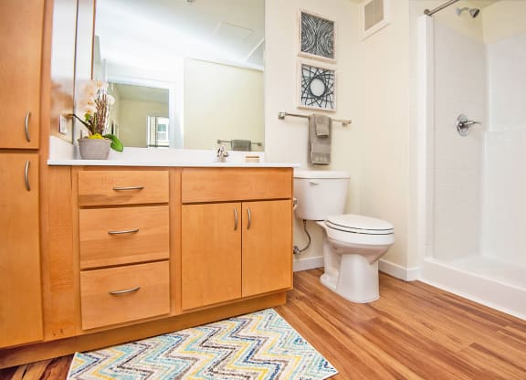 Bathroom at Scharbauer Flats, Midland, TX, 79705