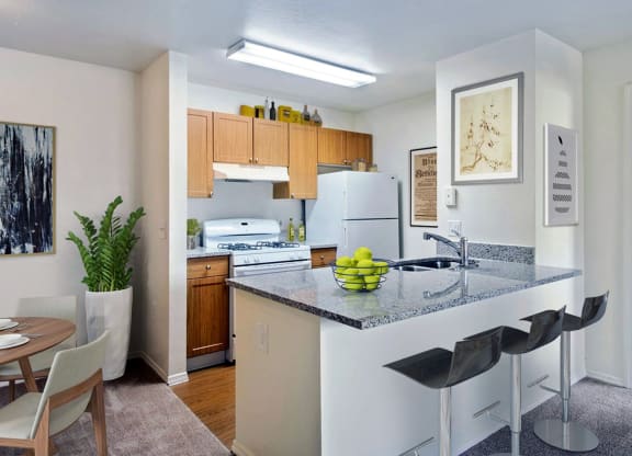 Seven Palms_Staged Kitchen