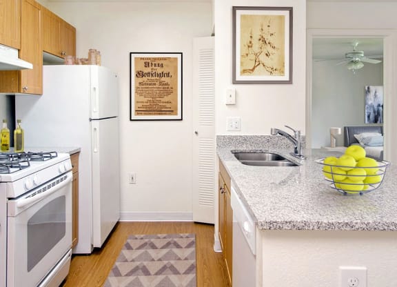 Seven Palms_Staged Kitchen