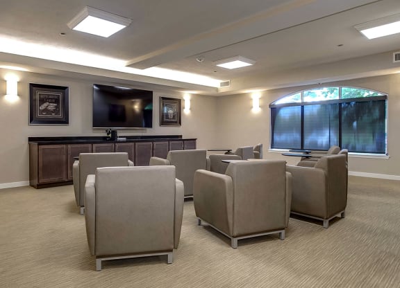Silver Gardens_Theater Room