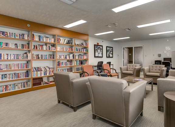 Silver Gardens_Library