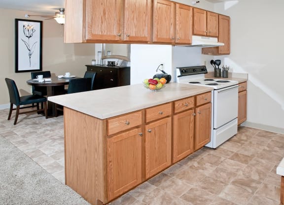 Dominium-Somerset Properties-Kitchen