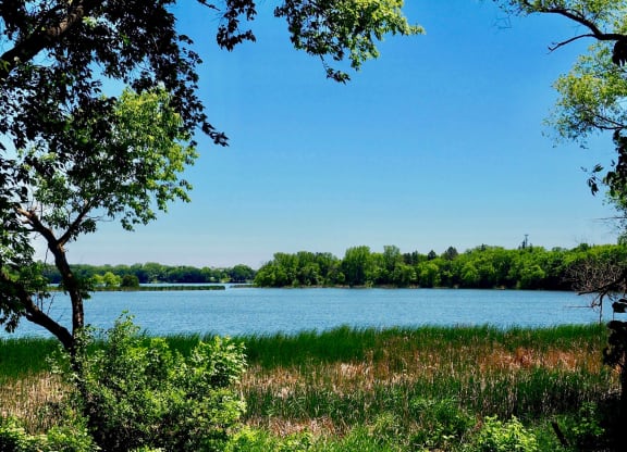 Dominium-Somerset Properties-Lake