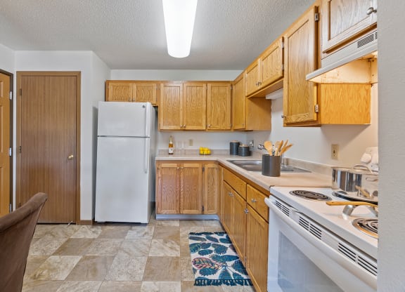 Dominium-Somerset Properties-Kitchen