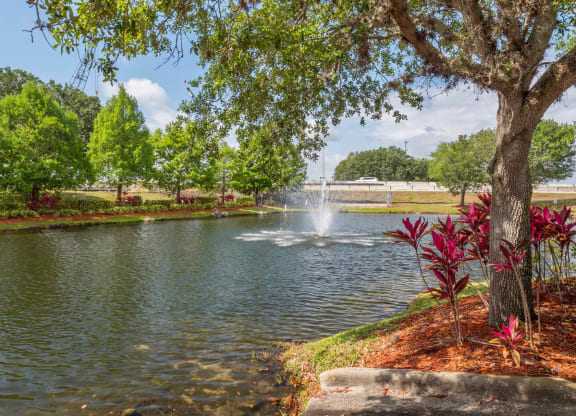 St. Cloud Village_Pond