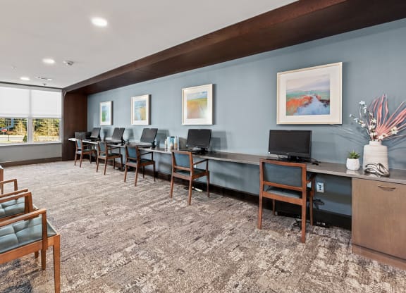Business Center area at Stonepointe 55+ Apartments, Lithonia, GA