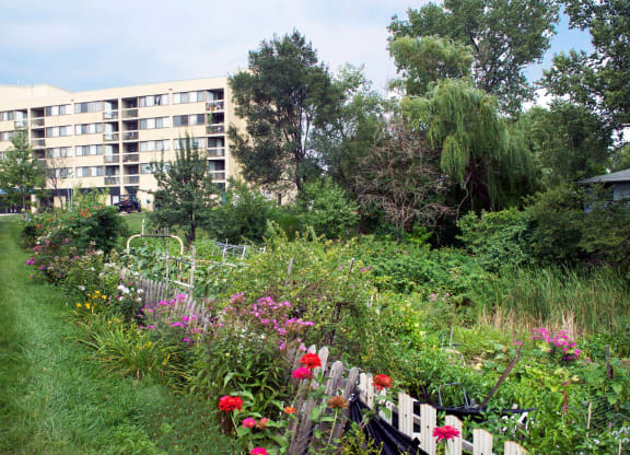 Village Green_Gardens