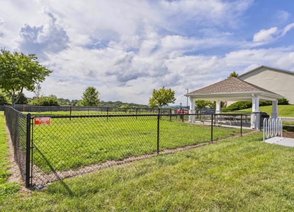 Waterview_Dog Park