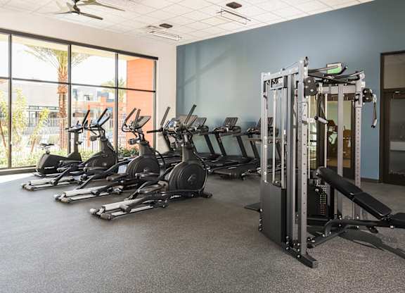 A gym with a row of treadmills and a row of stationary bikes.