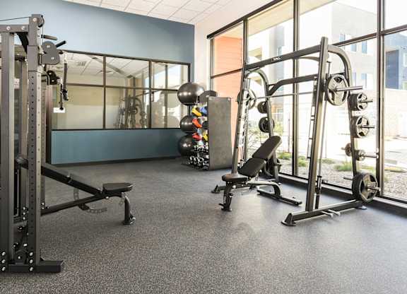 A gym with a variety of equipment including a squat rack, bench, and dumbbells.